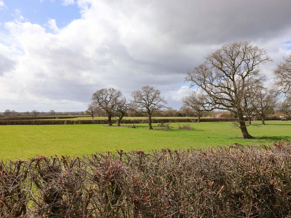 A field with trees and a fence at Hop To It 