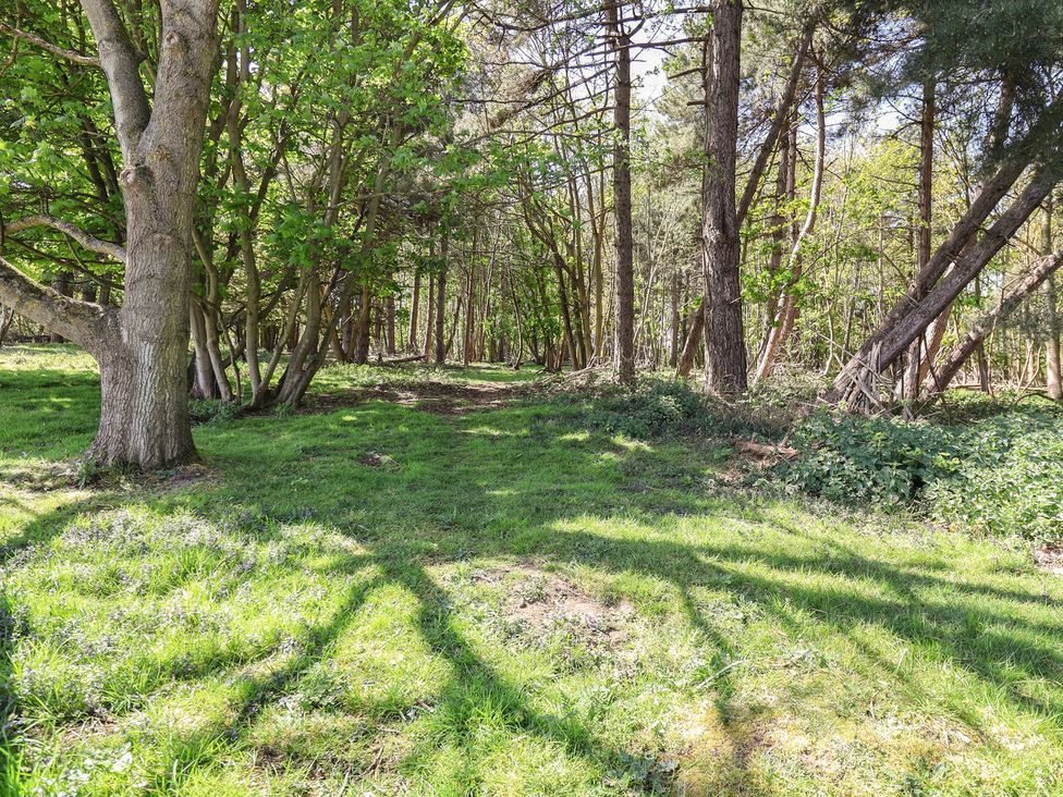 A clear area with trees and grass at Polly's Annexe Levington