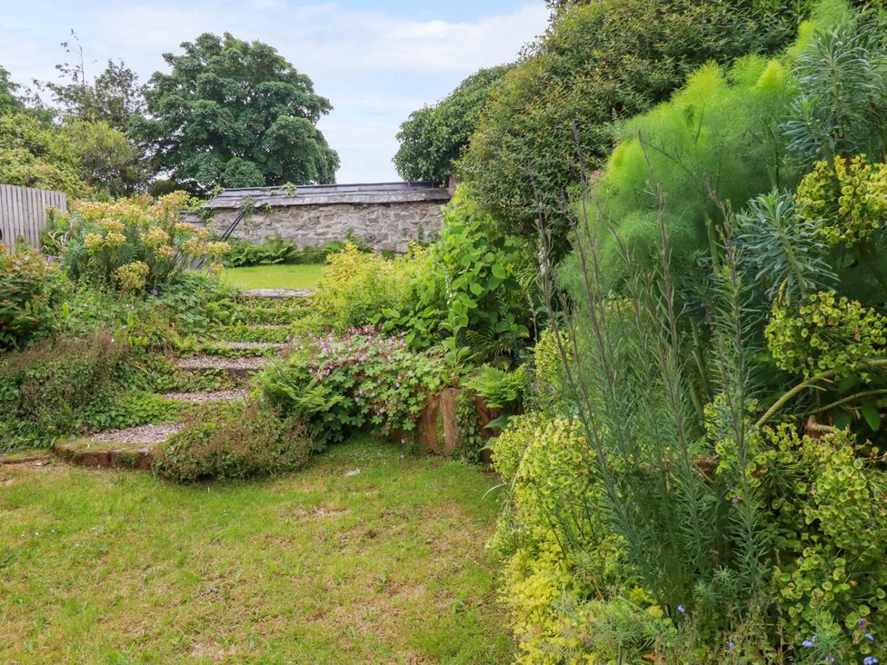 A garden with steps and plants at Clematis House in St Columb Major