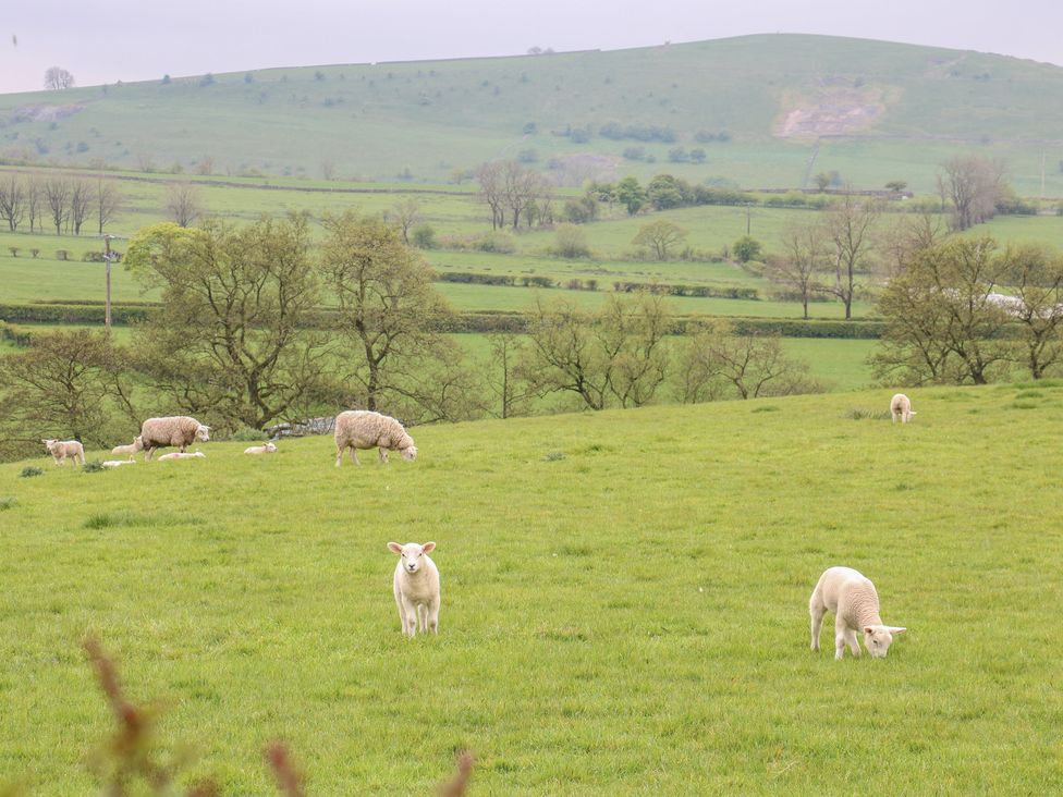 Upper Hurst Farmhouse - Peak District & Derbyshire - 1131577 - thumbnail photo 54