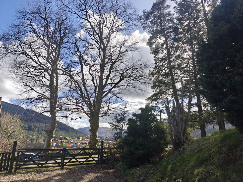 A view of trees and a gate with mountains in the background at Ninevah in Balquhidder, Perthshire, Scotland