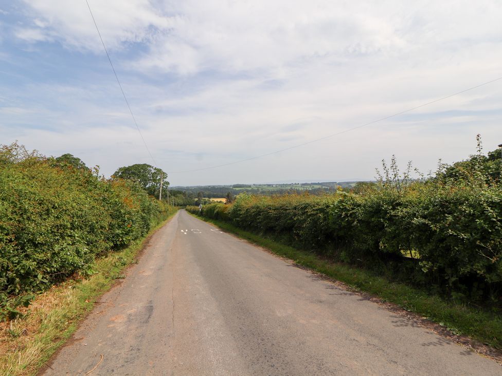 A road surrounded by bushes and trees in rural countryside at Rose Bank Cottage, Dalston