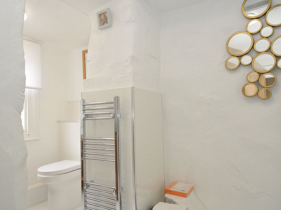 A bathroom with a toilet and a mirror at 3 River View in Looe