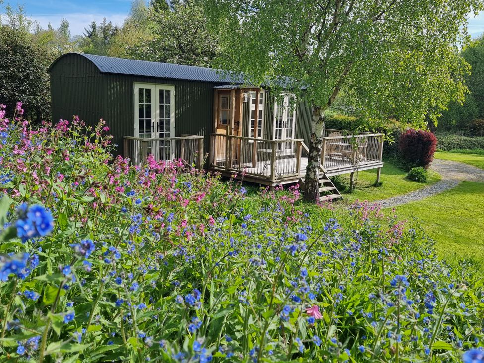 A green cabin with a wooden deck surrounded by grass and colorful flowers at Mucklewick Hollow in Minsterley near Bishops Castle