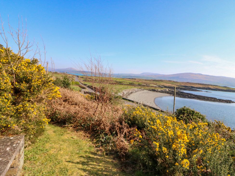 A landscape with yellow flowers and a path near the water at Whispering Pines in Durrus, County Cork