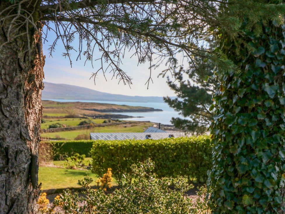 A view through trees overlooking the ocean at Whispering Pines Durrus, County Cork