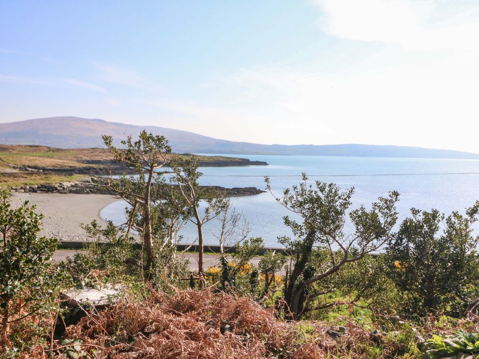 A beach with water and plants in the foreground at Whispering Pines, Durrus, County Cork