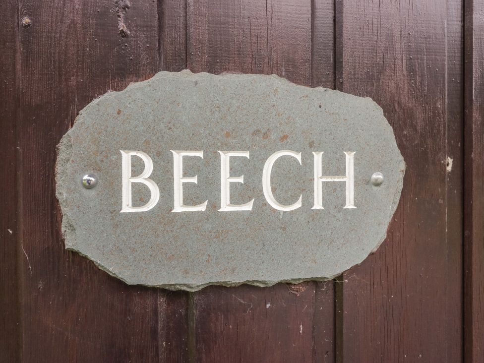 Beech Timber Lodge - Lake District - 1132912 - thumbnail photo 2