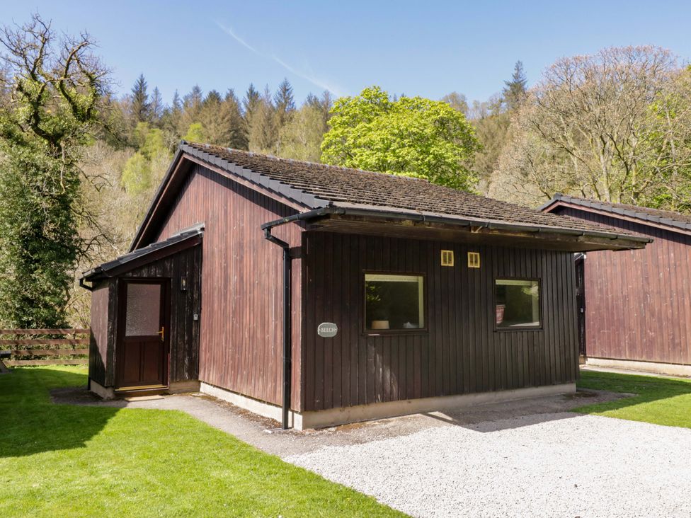 A lodge building surrounded by grass and trees at Beech Timber Lodge in Keswick