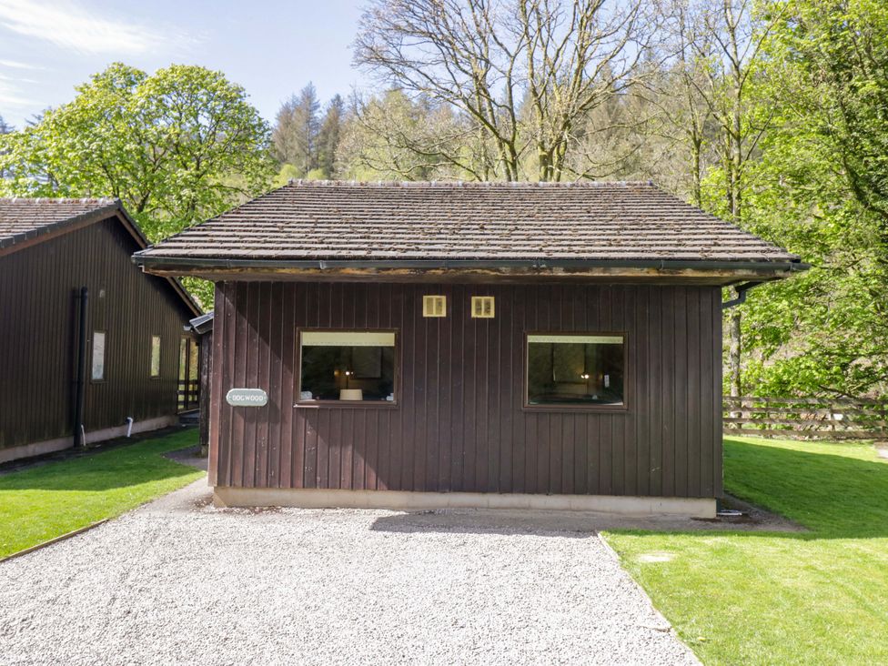 A wooden cabin with windows and a gravel path at Dogwood Timber Lodge in Keswick