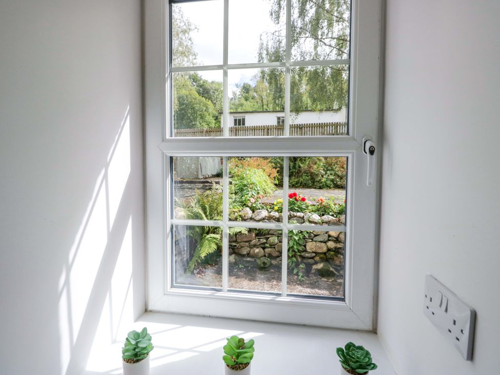 A window with succulents on the sill at Riverside Cottage No 4 in Keswick