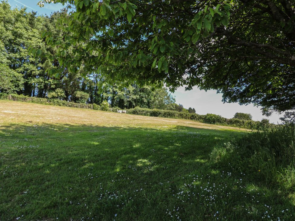 A garden with a grass area and trees at November Cottage in Dittisham