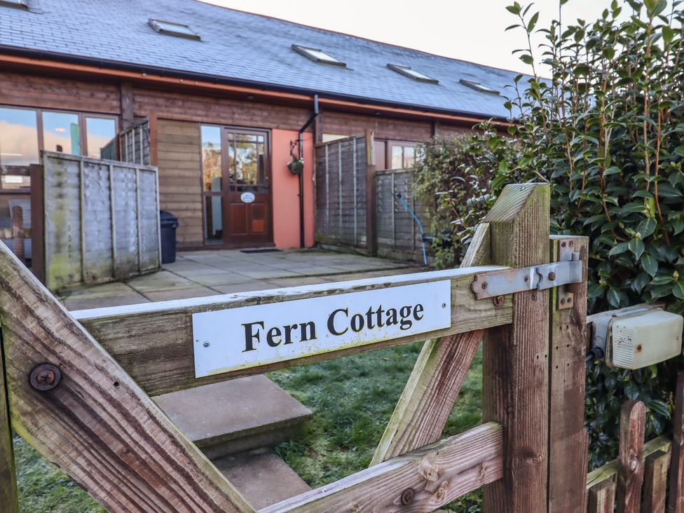 Fern Cottage - Devon - 1134184 - thumbnail photo 2
