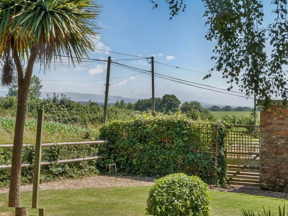 A garden with a tree and gate at 2 Pigsfoot Cottages Ash Thomas near Halberton, Devon