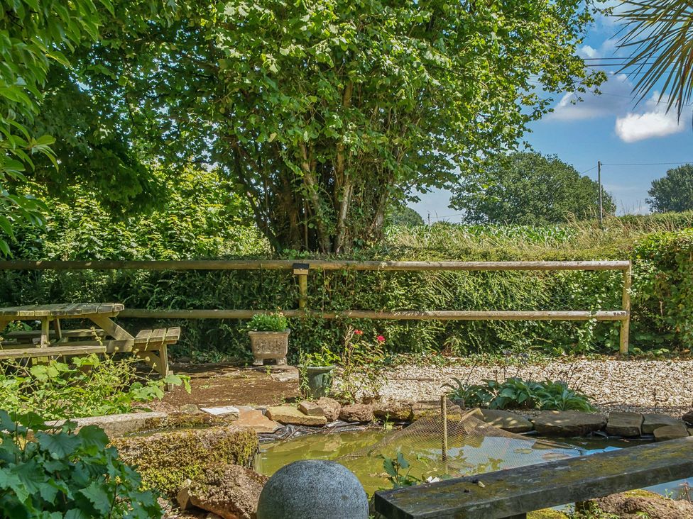A garden with a table and benches near a pond at 2 Pigsfoot Cottages Ash Thomas near Halberton, Devon