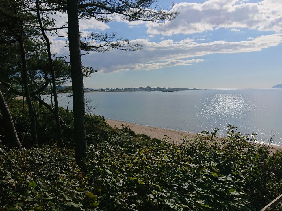 A view of the beach and sea from behind trees at Learig Cottage in Girvan