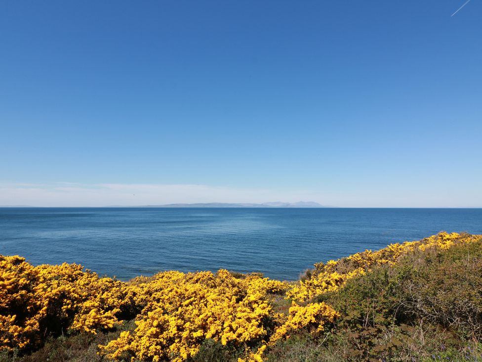 A coastal view with flowers in the foreground at Learig Lodge in Girvan