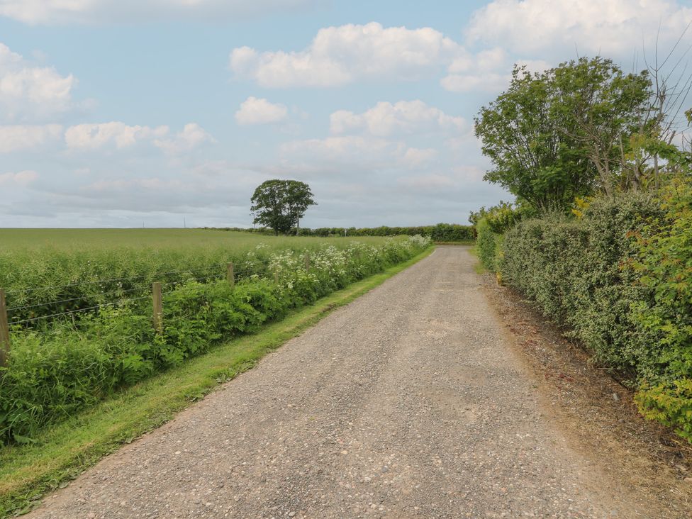 A gravel road bordered by grass and bushes at Rowan Cottage in Redcastle near Arbroath