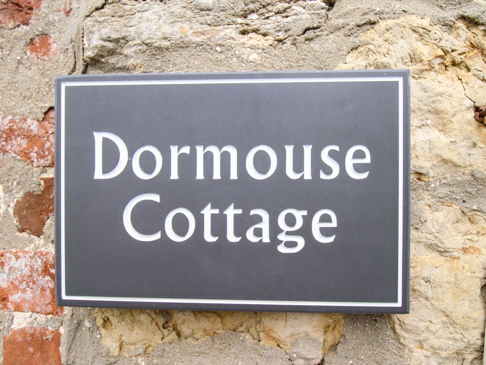 Dormouse Cottage - Dorset - 1135014 - thumbnail photo 3
