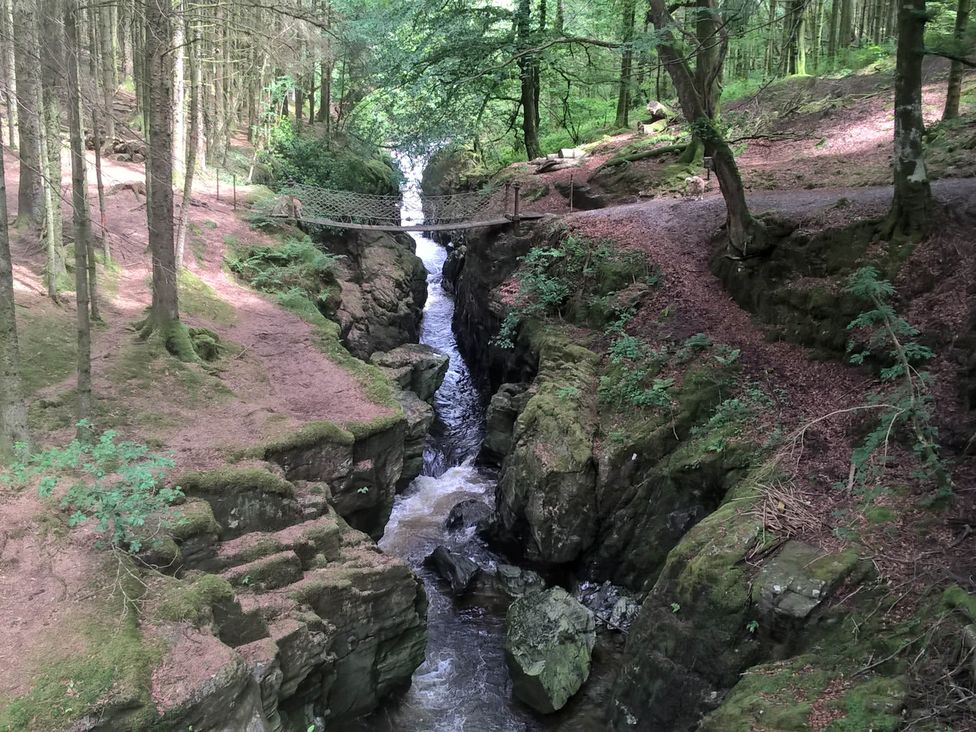 A river flowing under a bridge with trees surrounding it at The Kites Nest in Pont-rhyd-y-groes near Pontrhydfendigaid, Snowdonia