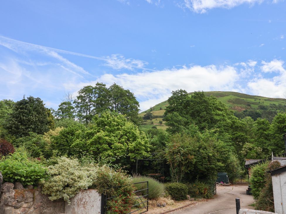 A view of trees and hills with a pathway at The Studio Cottage in Denbigh