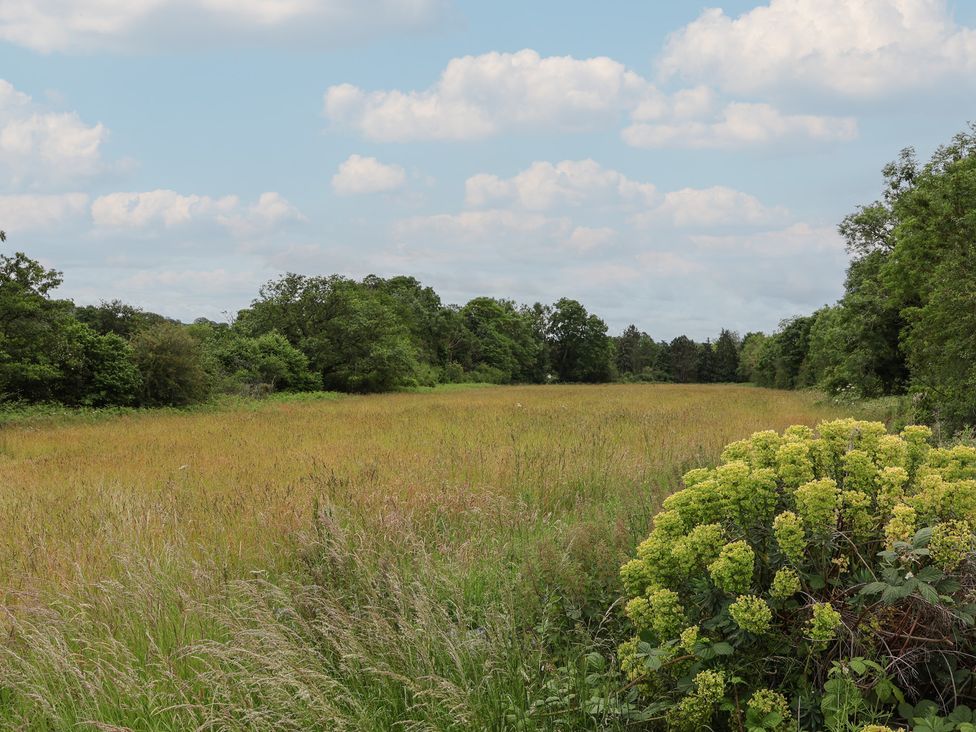 A field with grass and trees at The Studio Cottage in Denbigh
