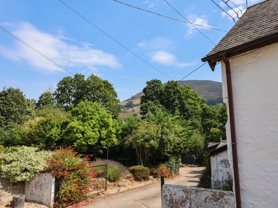 A view of trees and mountains from a pathway at The Studio Cottage near Denbigh