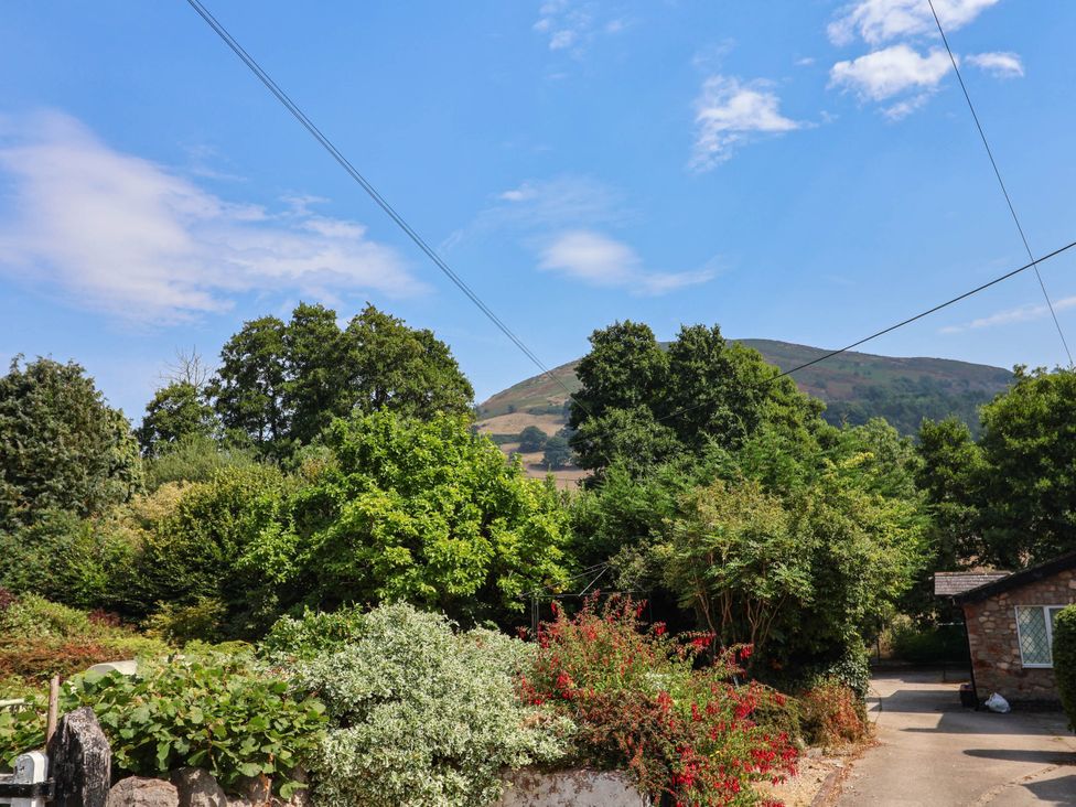 A view of trees, bushes, and a hill with a blue sky near The Studio Cottage near Denbigh