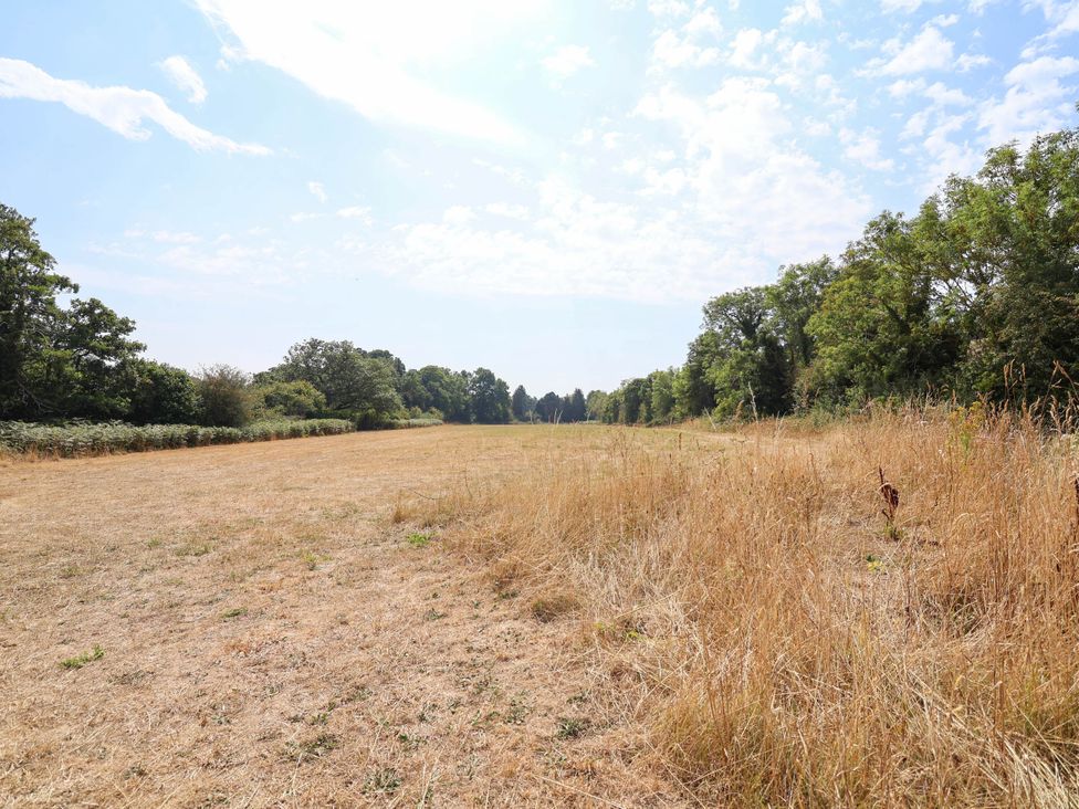 A field with sparse grass and trees at The Studio Cottage near Denbigh