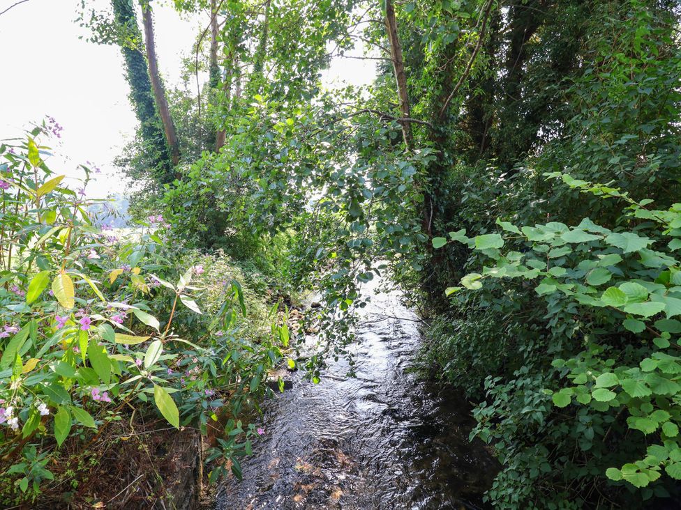 A stream surrounded by plants and trees at The Studio Cottage near Denbigh