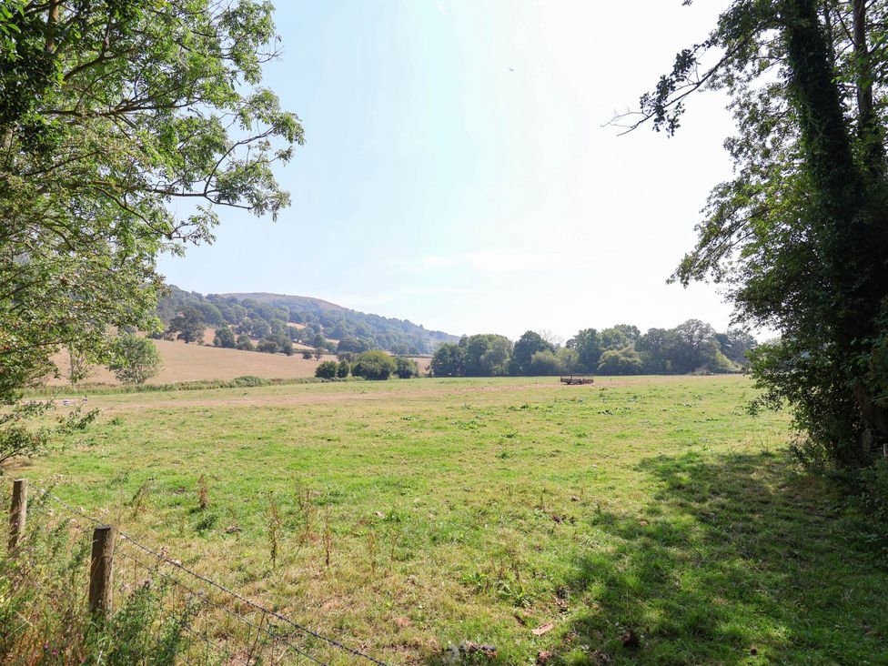 A field with trees and hills at The Studio Cottage near Denbigh