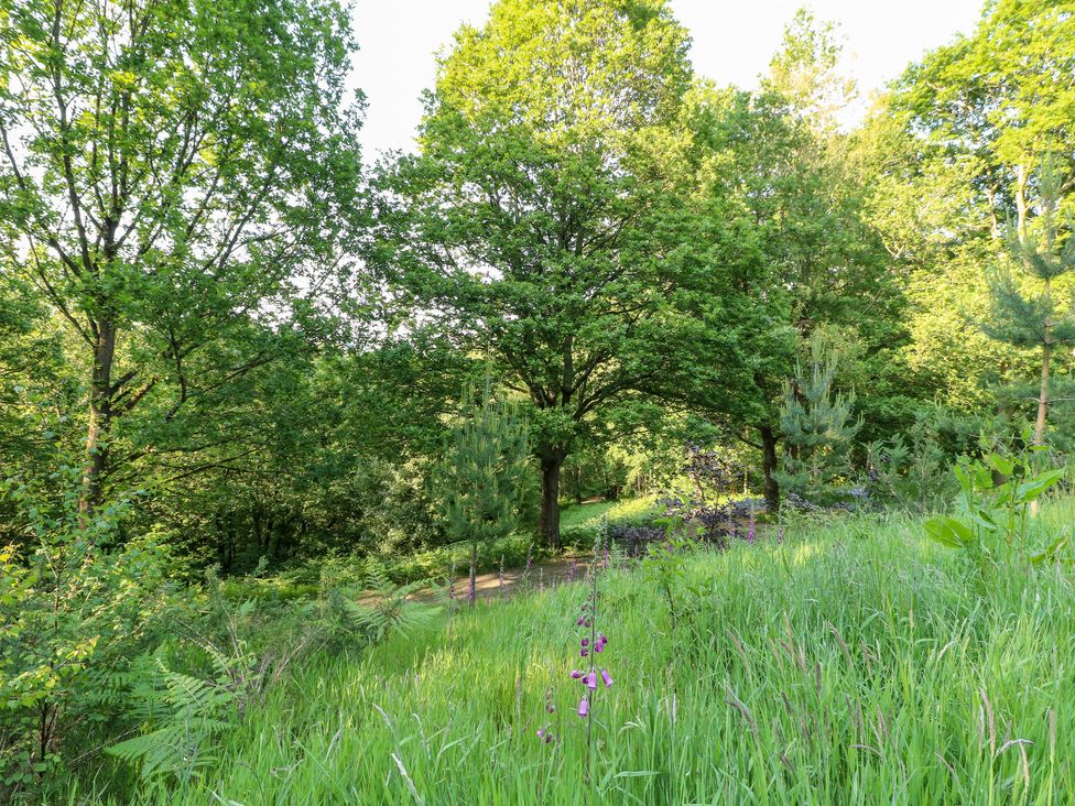 The Barn at Catacol - Peak District & Derbyshire - 1135708 - thumbnail photo 34