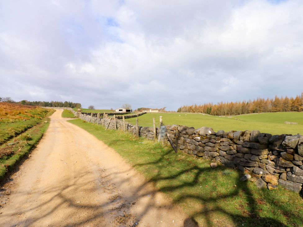 A dirt road lined with stone walls and fields at The Hayloft in Ellingstring near Masham