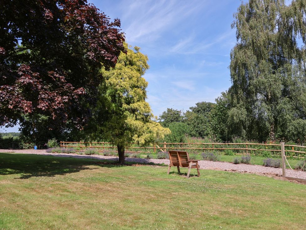 A garden with trees and a wooden bench at 1 Fountain Cottages, Peckforton, Tarporley