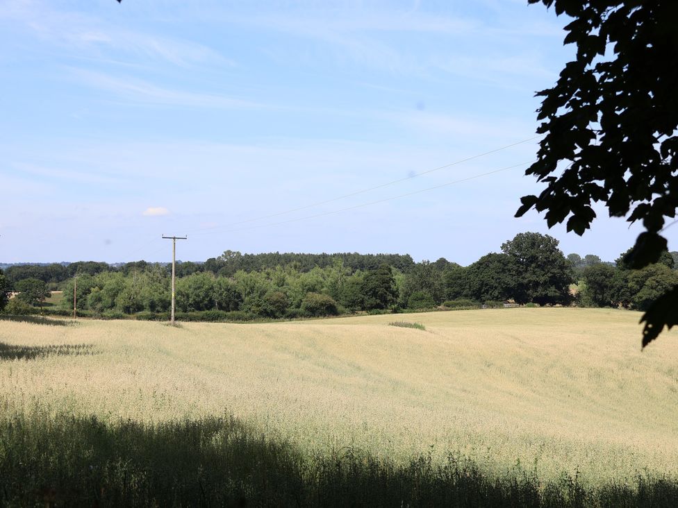 A field with power lines and trees at 1 Fountain Cottages in Peckforton, Tarporley