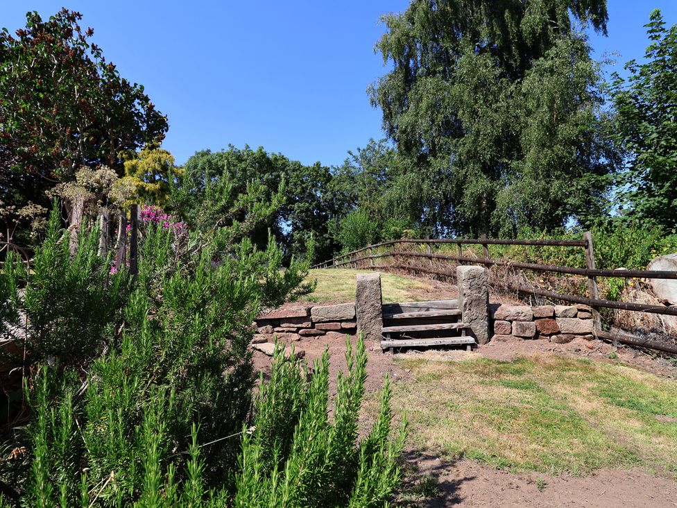 Steps leading up in a garden at 1 Fountain Cottages in Peckforton, Tarporley