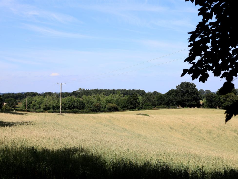 A view of a field with an electric pole and trees at 1 Fountain Cottages in Peckforton, Tarporley