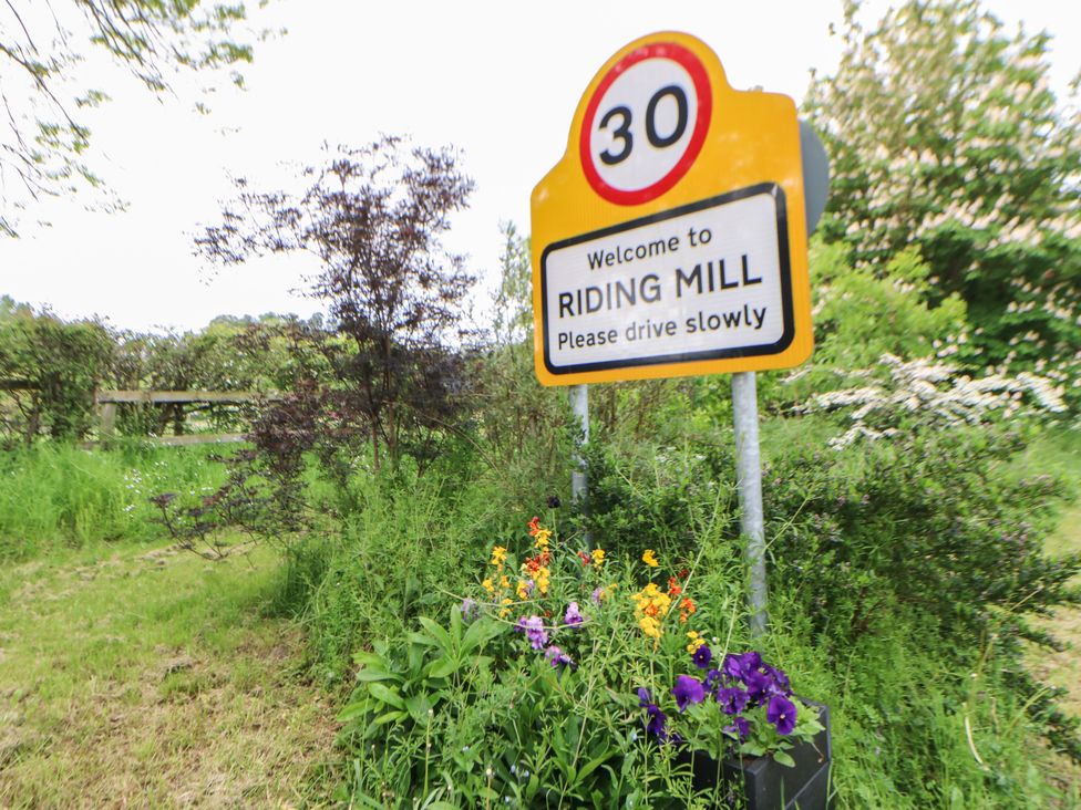 The Bothy, Riding Hills - Northumberland - 1135986 - thumbnail photo 17