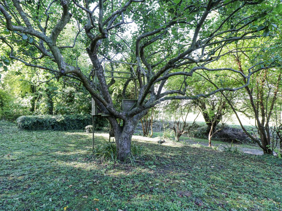 Chalkpit Cottage - Cotswolds - 1136387 - thumbnail photo 35