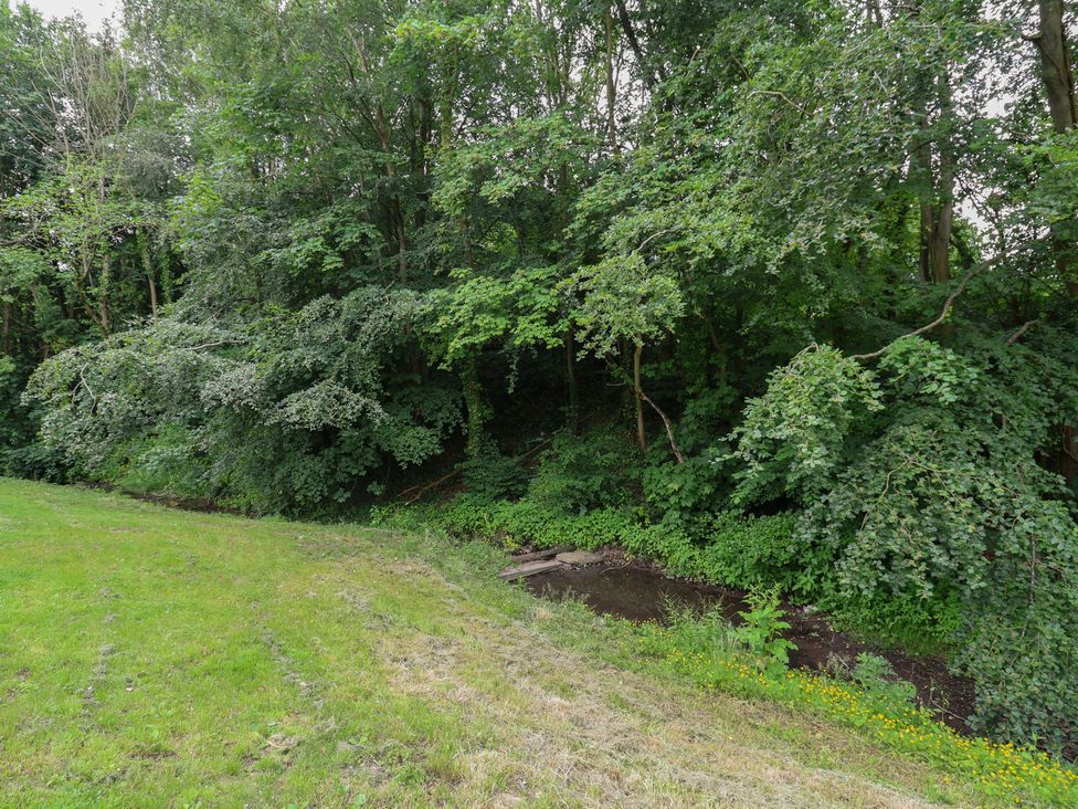 A natural setting with grass, trees, and a stream at Upstairs at the White Lion