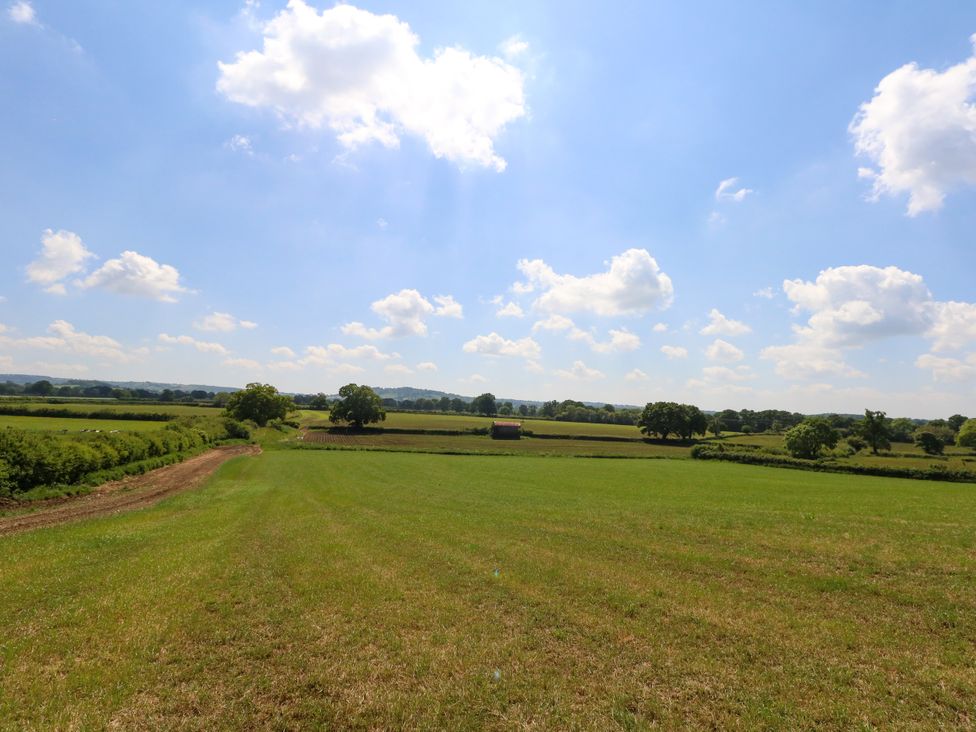 Frogwell - Dorset - 1136665 - thumbnail photo 37