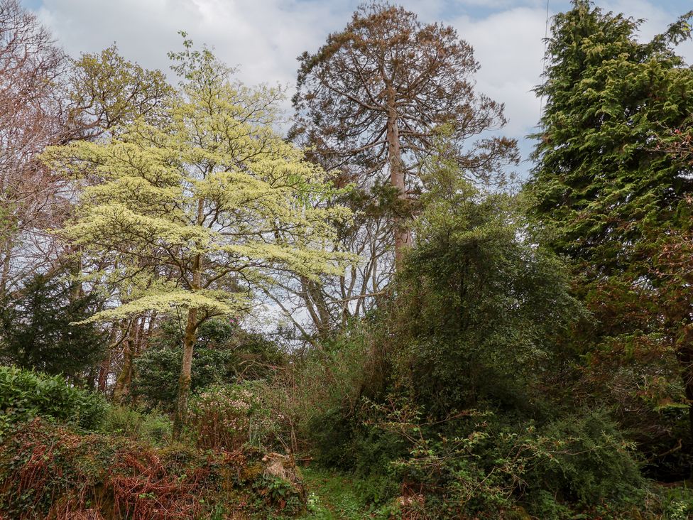 Dunridge Cottage - Devon - 1136705 - thumbnail photo 22