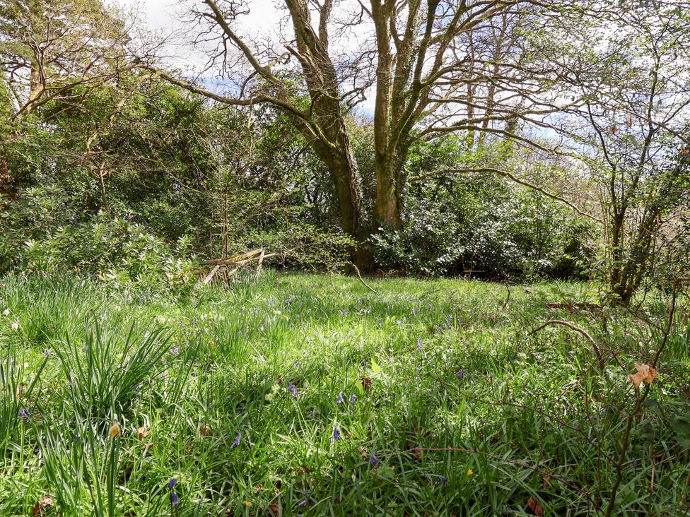 Dunridge Cottage - Devon - 1136705 - thumbnail photo 27
