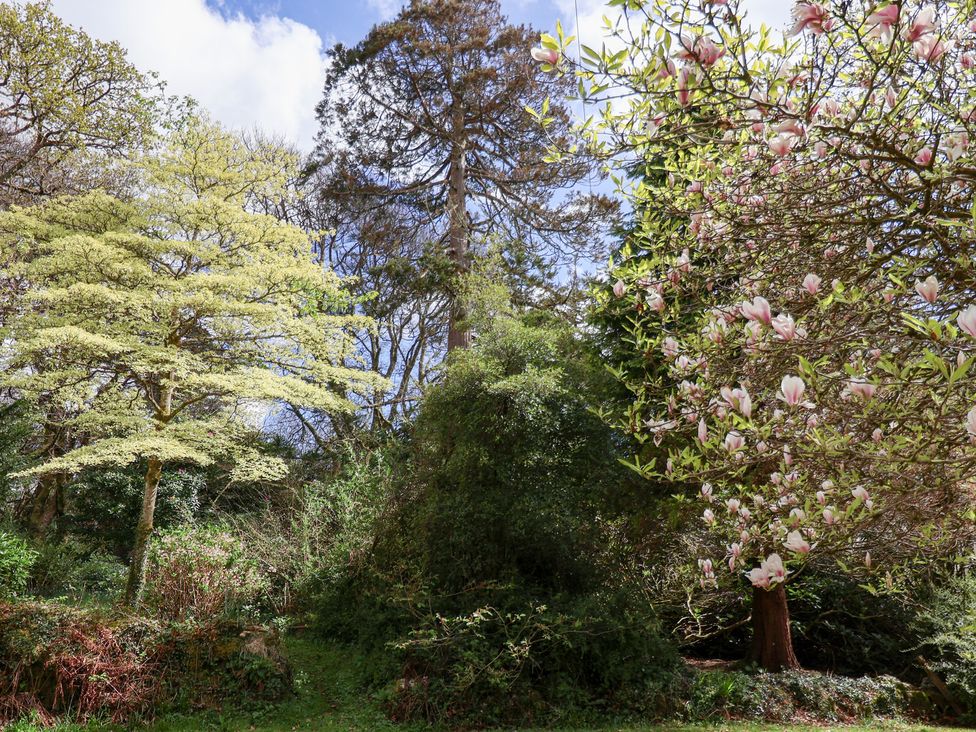 Dunridge Cottage - Devon - 1136705 - thumbnail photo 31