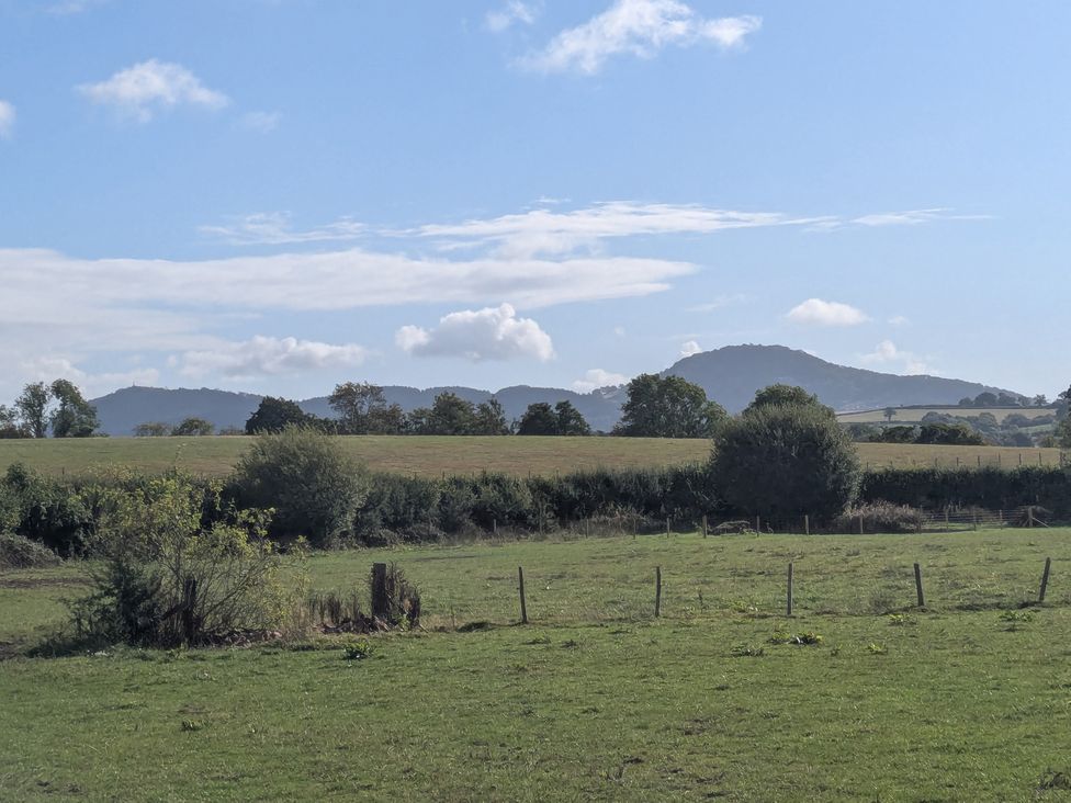 A view of mountains and a field with trees at Gaer Hall in Guilsfield