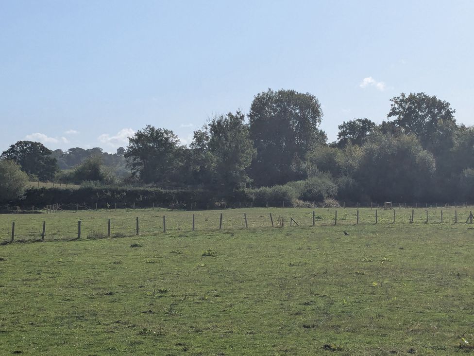 A field with grass and trees at Gaer Hall in Guilsfield