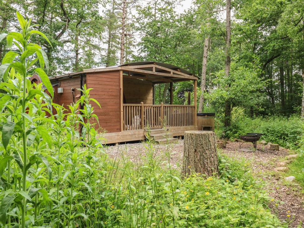 A cabin with a deck and fire pit surrounded by trees at The Leveret in Eppleby