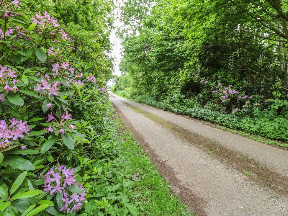 A path bordered by flowers and trees at The Leveret in Eppleby