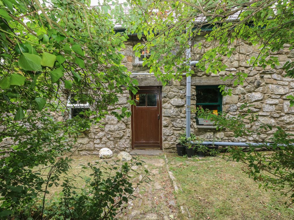 A stone wall with a wooden door and plants at Penfeidr Newydd in Carningli Common, Newport, Pembrokeshire