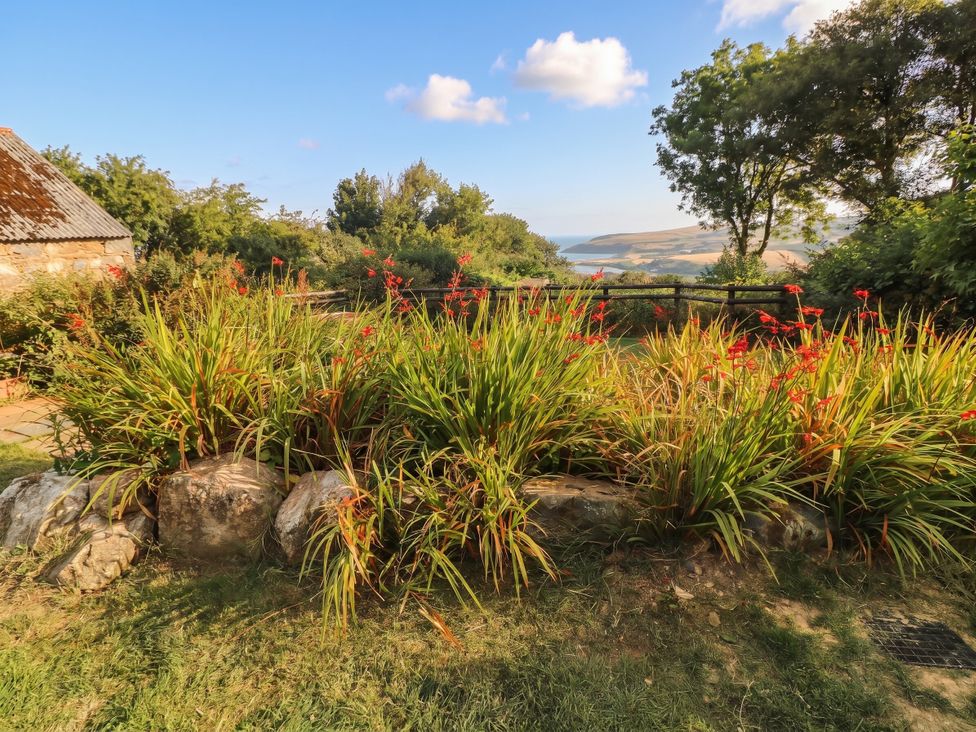 A garden with rocks and flowers at Penfeidr Newydd in Carningli Common, Newport, Pembrokeshire